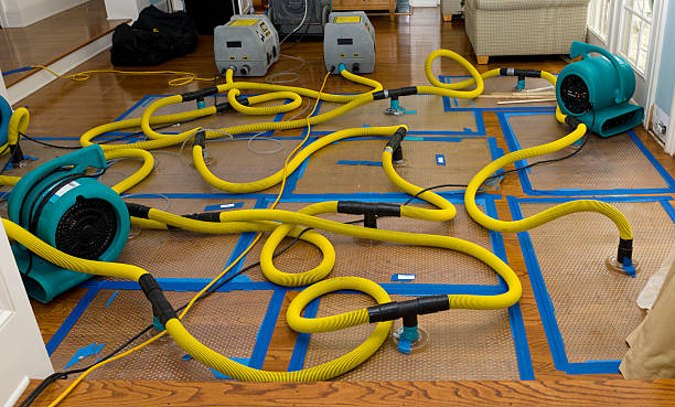 Professional Water Damage Repair technician working in Farmington, CA